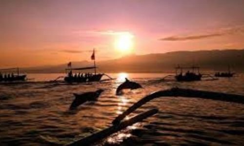 Pantai Lovina Terkenal Dengan Atraksi Lumba-Lumba di Jam 06.00 Pagi